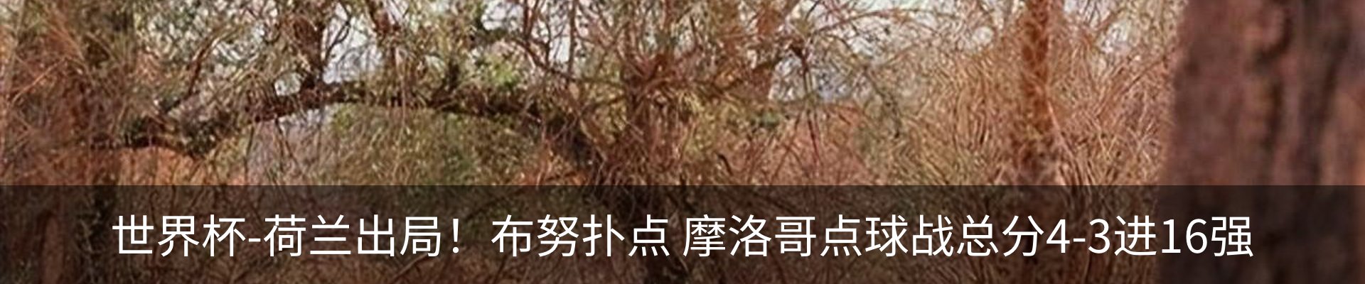 行业资讯